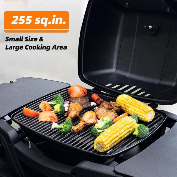 Gas Grill Portable Propane Grill, Tabletop Grill Propane,   Outdoor BBQ Grill Camping Grill with Two Burners, Removable Side Tables, Built in Thermometer, Black - Image 2